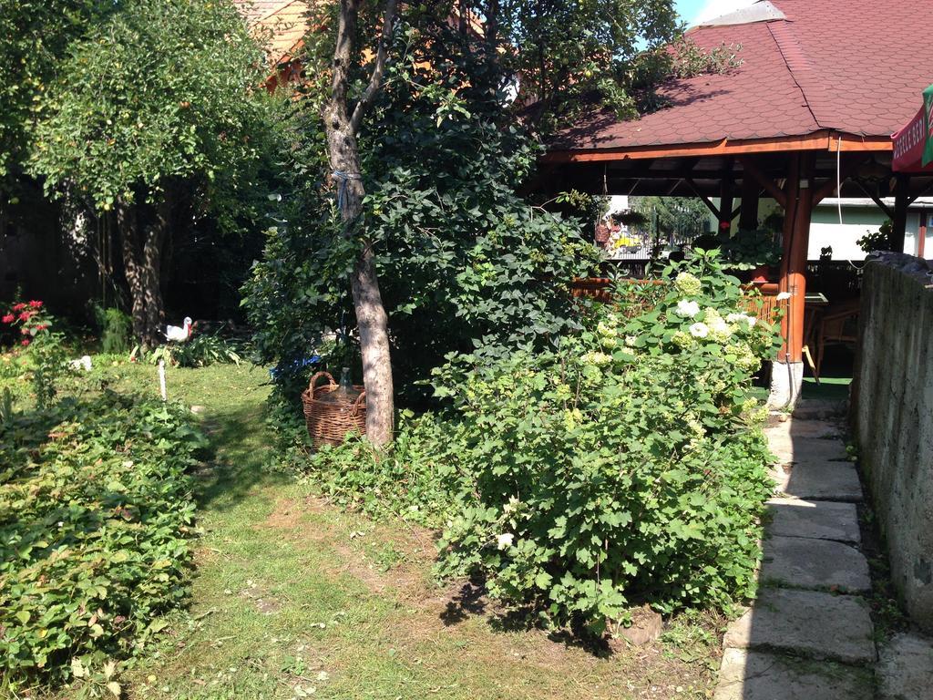 Pensiunea Dragonul Felek Kültér fotó